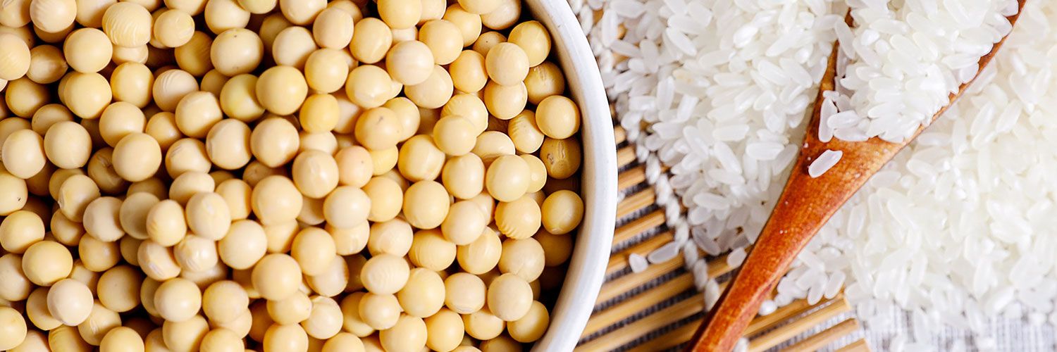 The Making of Our Miso