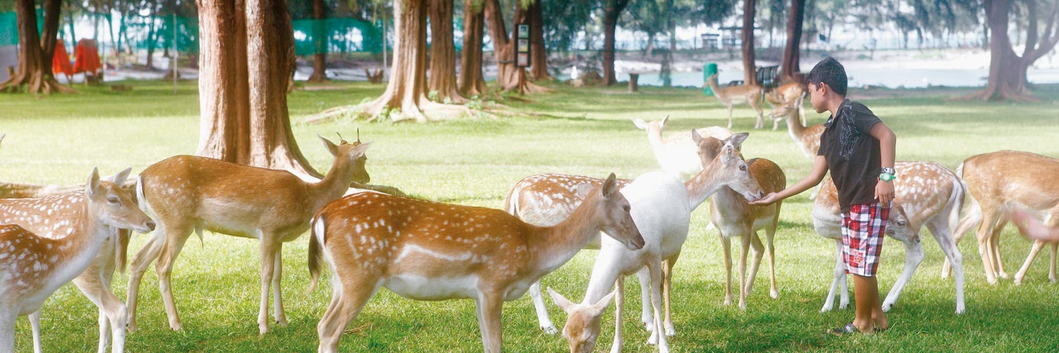 HONA ORGANICOur Approach ro Food