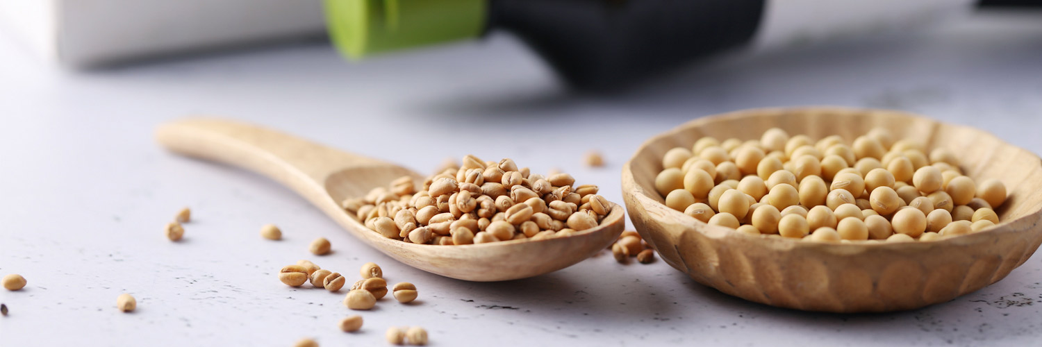 HONA ORGANIC - HONA ORGANIC Soy Sauce