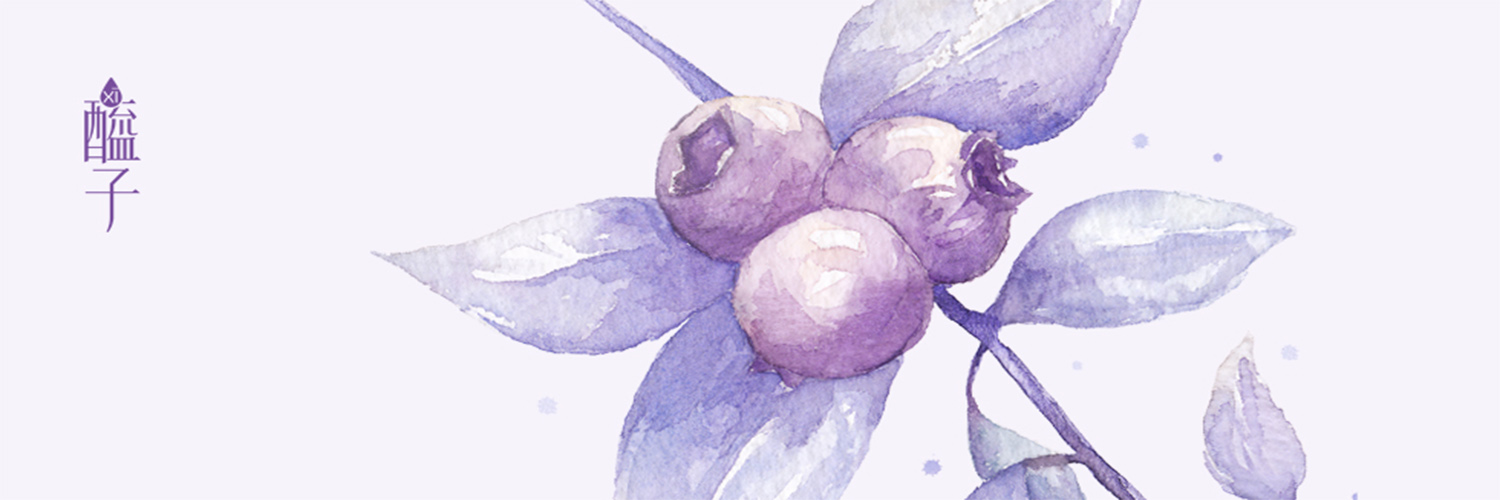 XI ZI - XI ZI Blueberry Vinegar