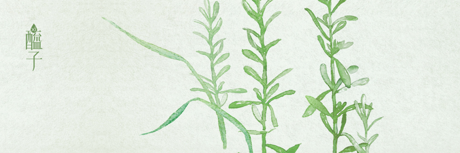 XI ZI - XI ZI Rosemary Vinegar