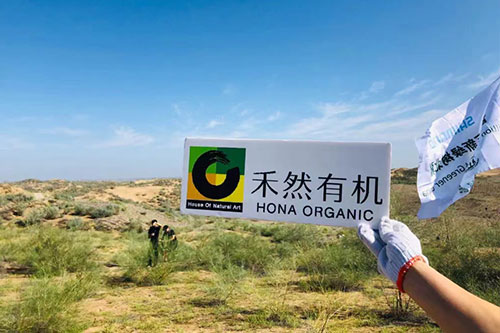 HONA ORGANIC