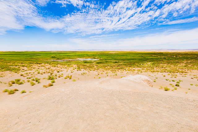 (Border of wasteland and desert)