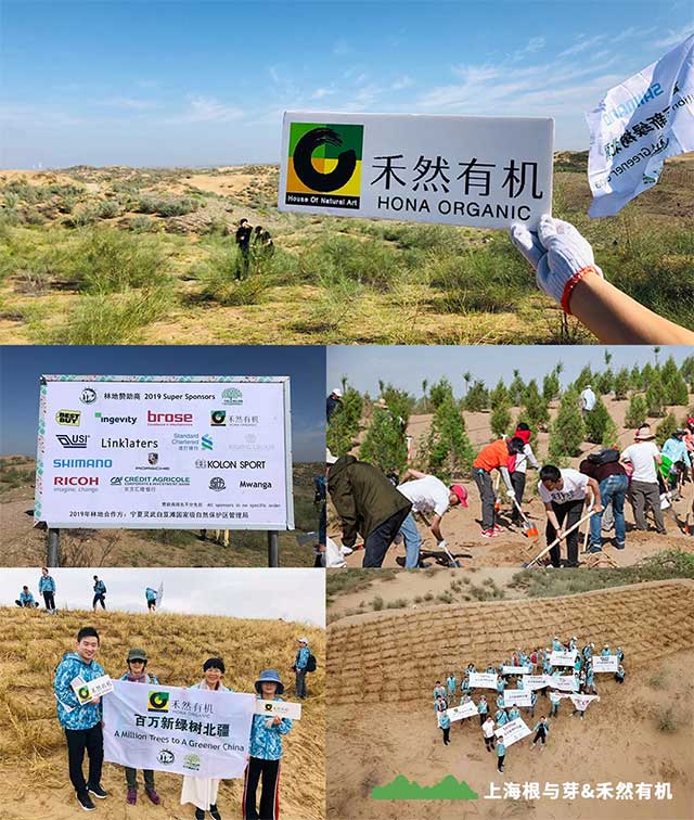 (Thanks for your participation)