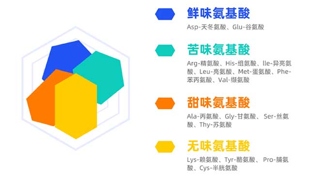 (Amino acids reflect different "flavors"; freshness is mainly from aspartic acid and glutamic acid)