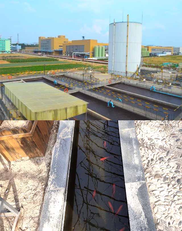 (Shinho (Jinan Zhangqiu) Industrial Park uses recycled wastewater for green fish farming)